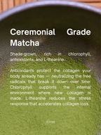 Ceremonial Grade Matcha + Collagen 30g